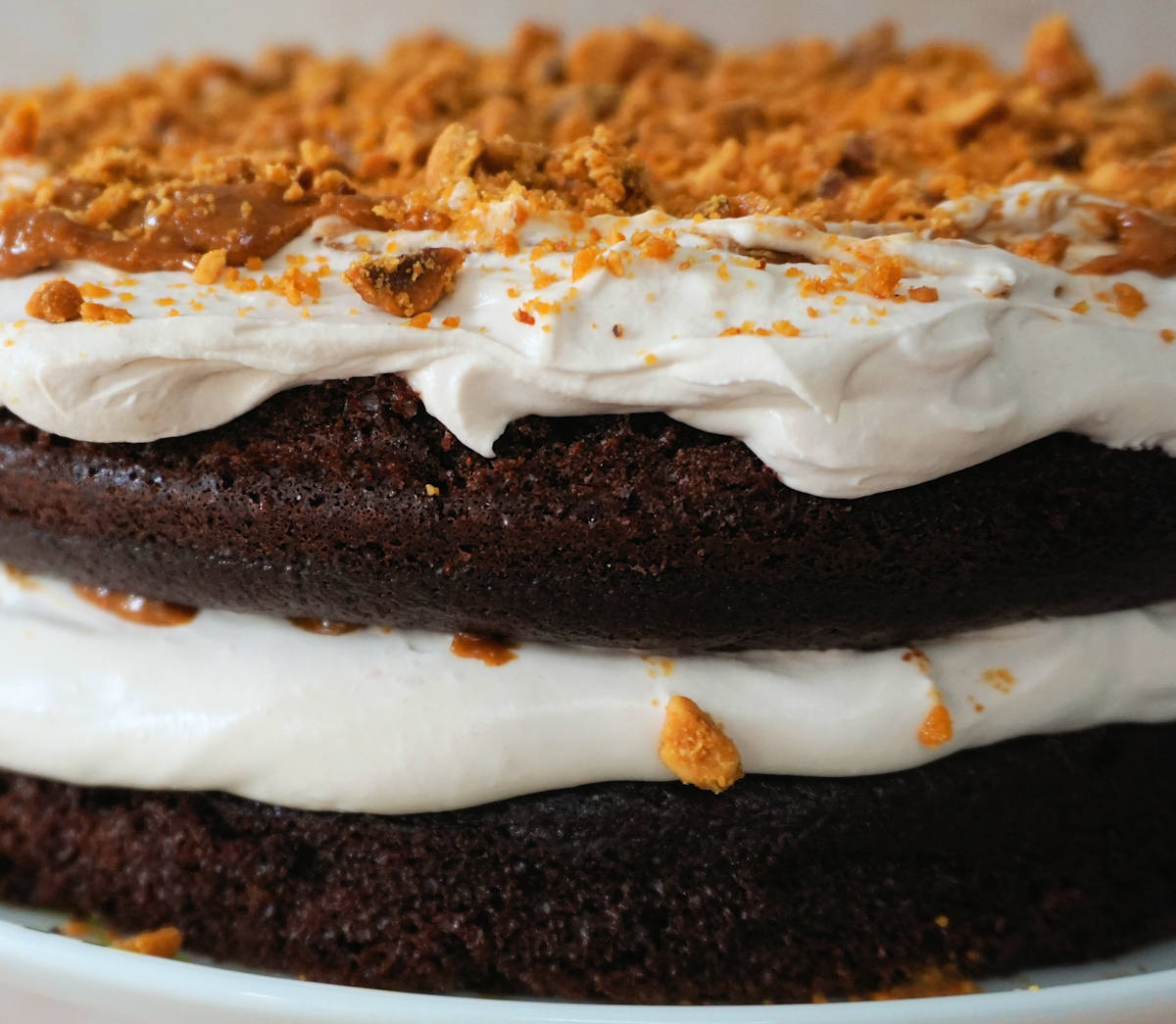 Devil's Food Cake With Hazelnut Praline Recipe Cuisine Fiend